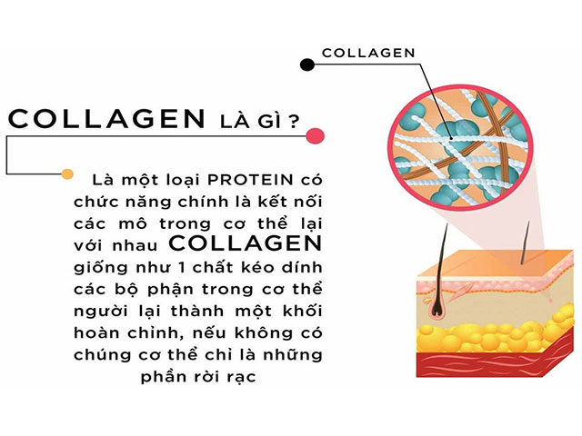 Collagen La Gi