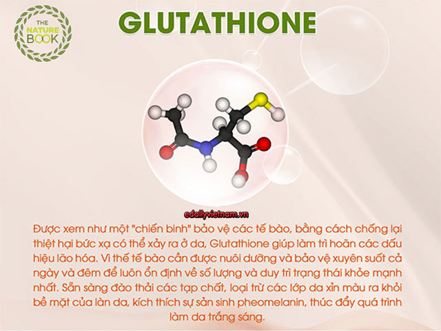 Thanh Phan Glutathione