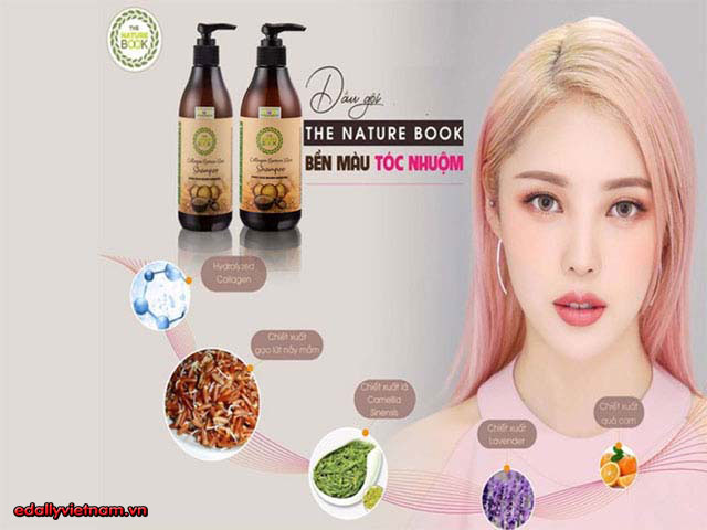 Dac Diem Dau Goi Collagen Gao Lut The Nature Book