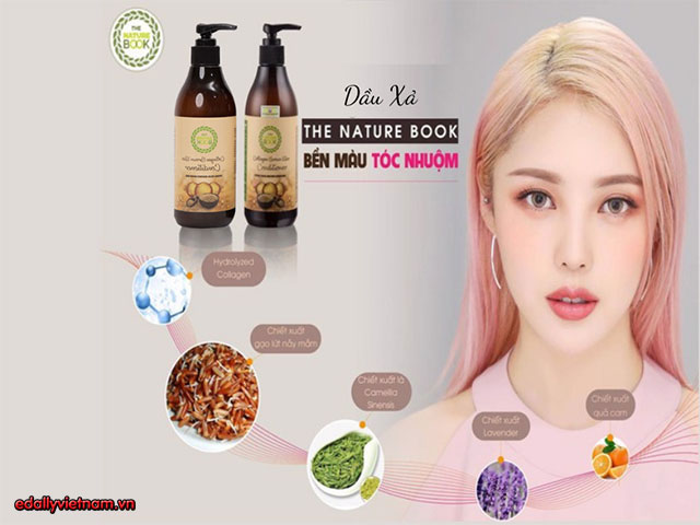 Dac Diem Dau Xa Collagen Gao Lut The Nature Book