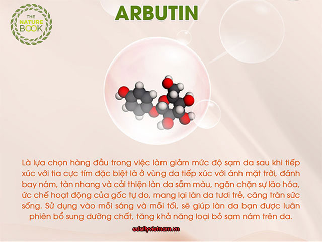 Thanh Phan Arbutin