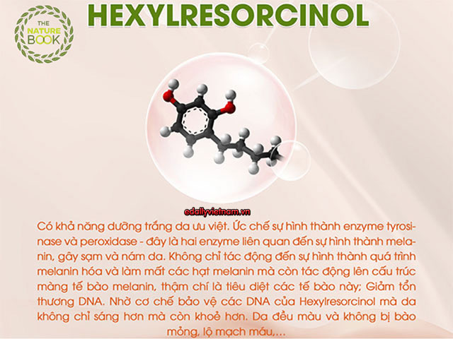 Thanh Phan Hexylresorcinol