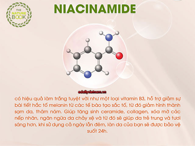 Thanh Phan Niacinamide